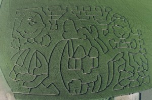 Corn-Maze-2017